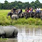 Assam Tourist Destinations - Kaziranaga National Park Wildlife Sanctuary 999
